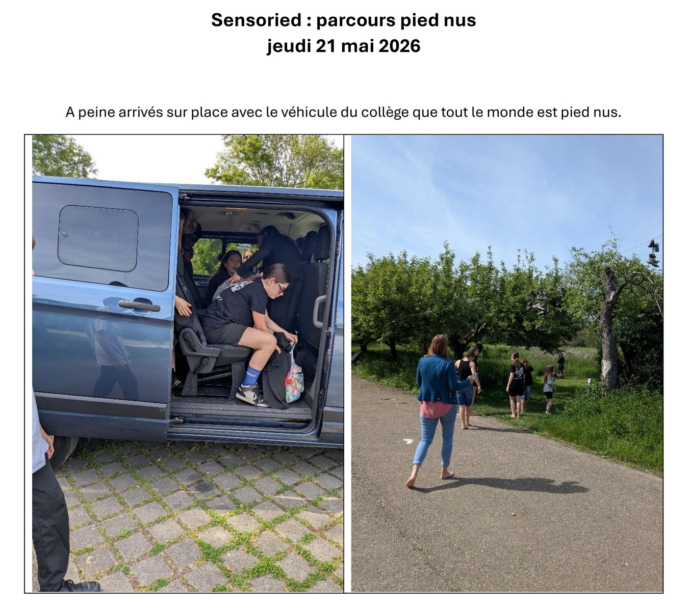 Sensoried 21mai2026 001 redimensionner